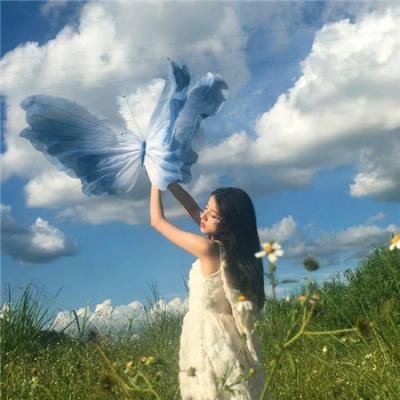 空中浩劫第十五季